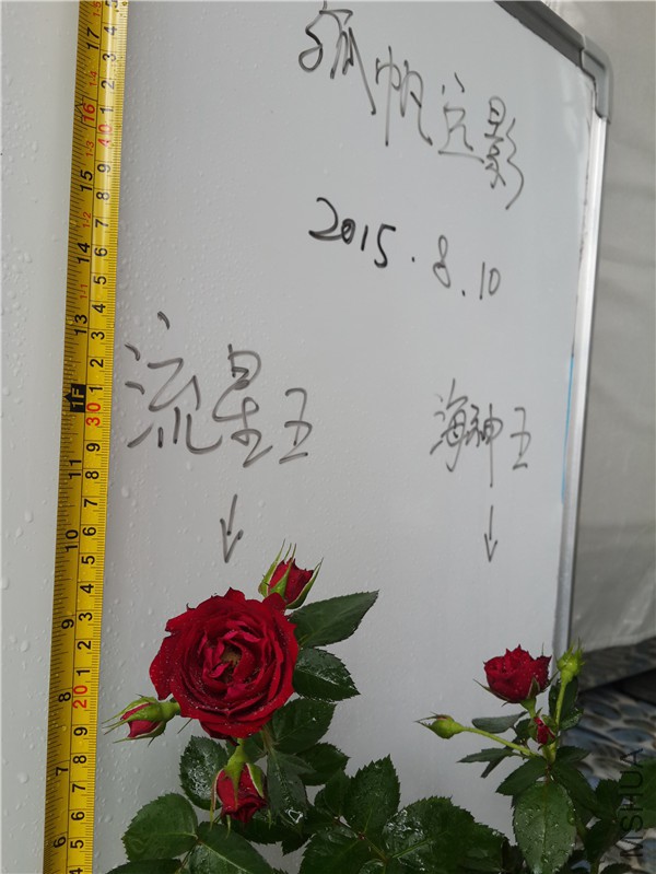 20150810_122109.jpg