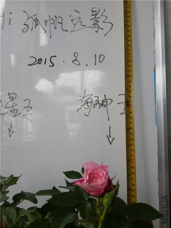 20150810_122156.jpg