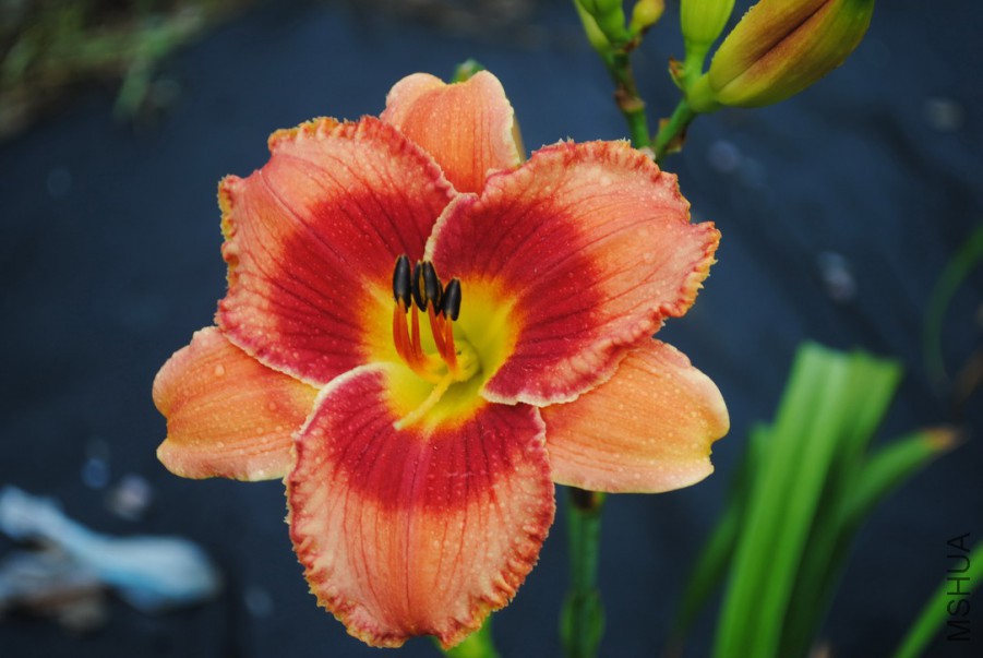 ����ʵ��� (1).jpg