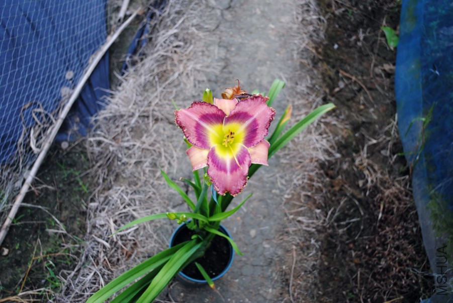 F1-812ħ���ʵ�1 (4).jpg