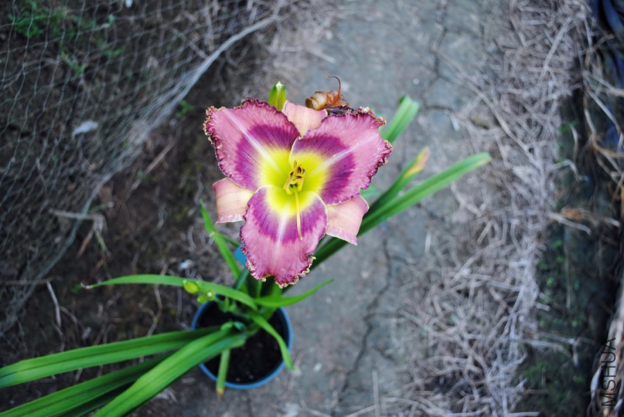 F1-812ħ���ʵ�1 (6).jpg