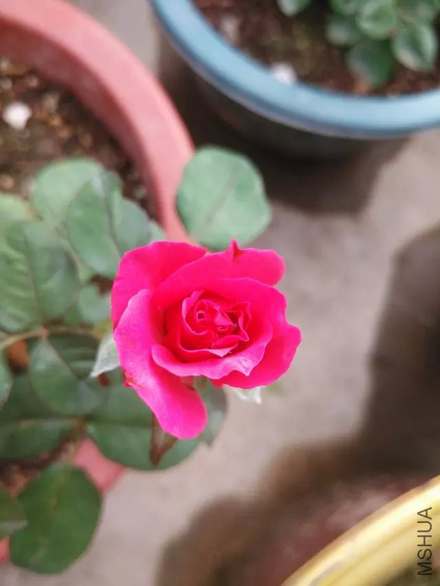 ��Զ�������ף��ܿ�������������