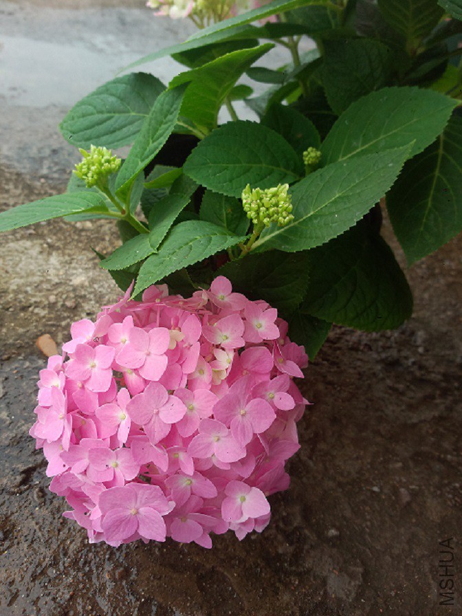 P50505-090449.jpg