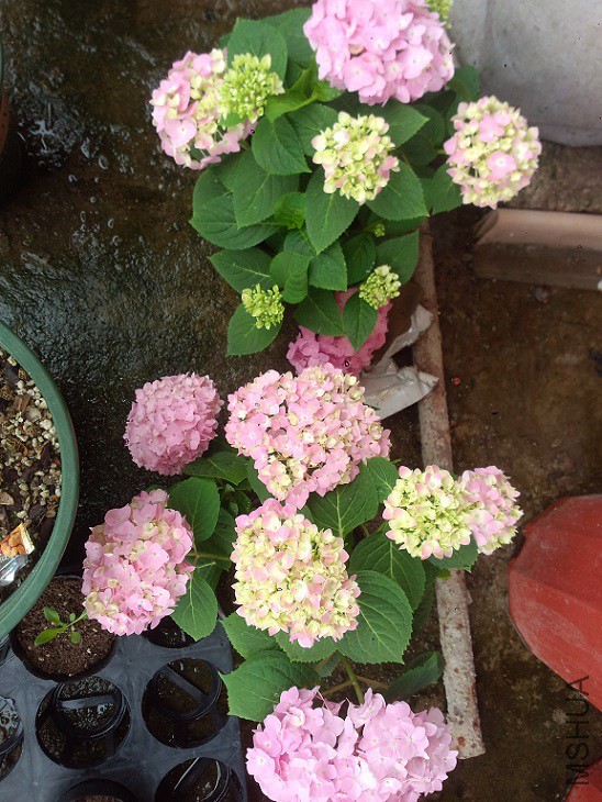 P50509-091212.jpg