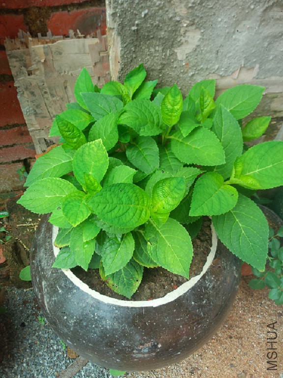 P50727-092123.jpg