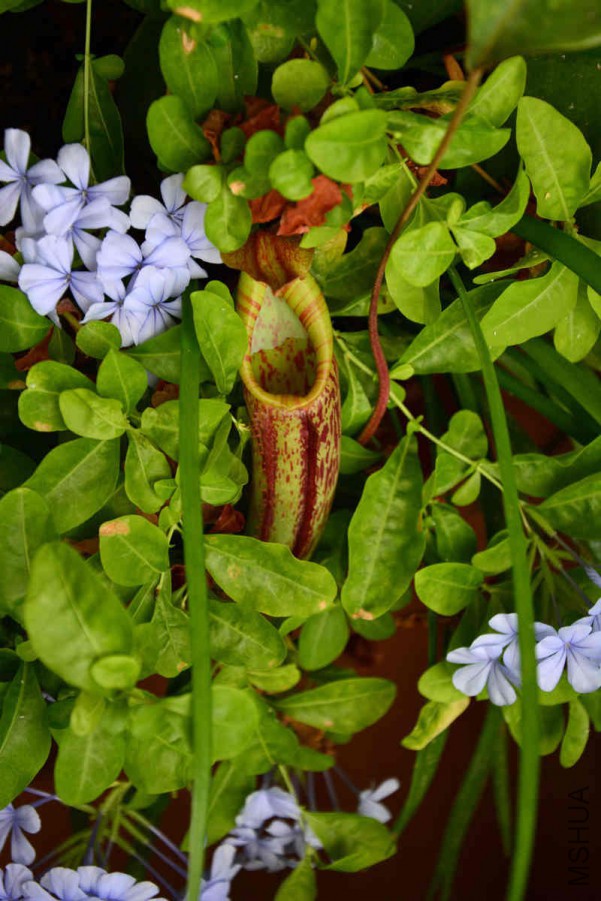 DSC_3191.jpg