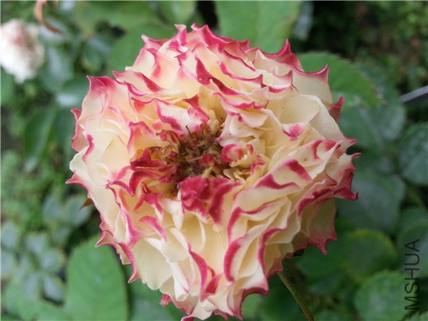20150815_094030.jpg