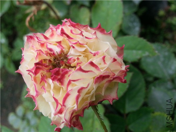 20150815_094033.jpg