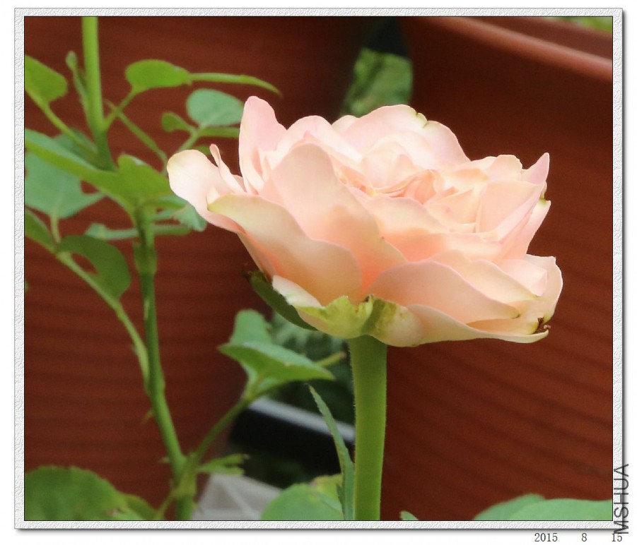 2015081504.jpg