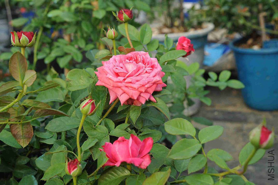 DSC_5400_����.jpg