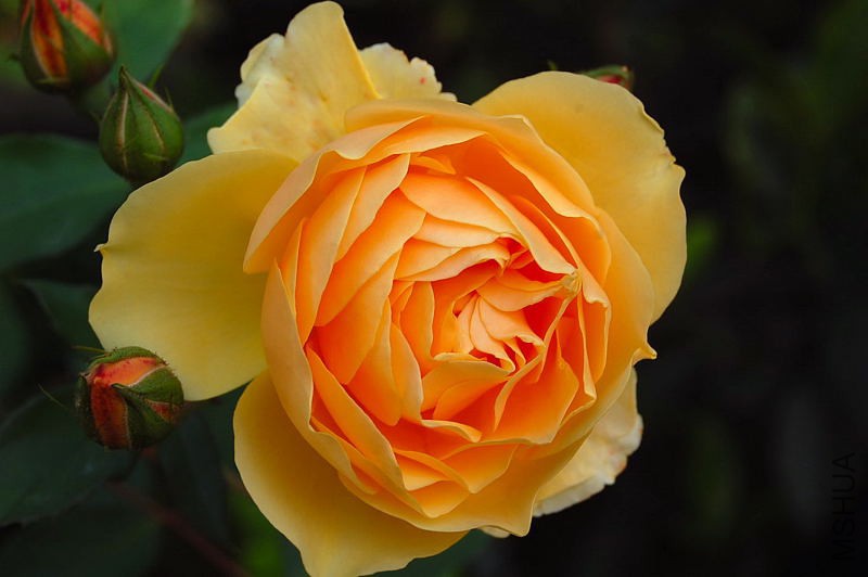 DSC_00220022.JPG