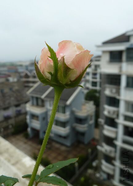 QQͼƬ20150816171908.jpg