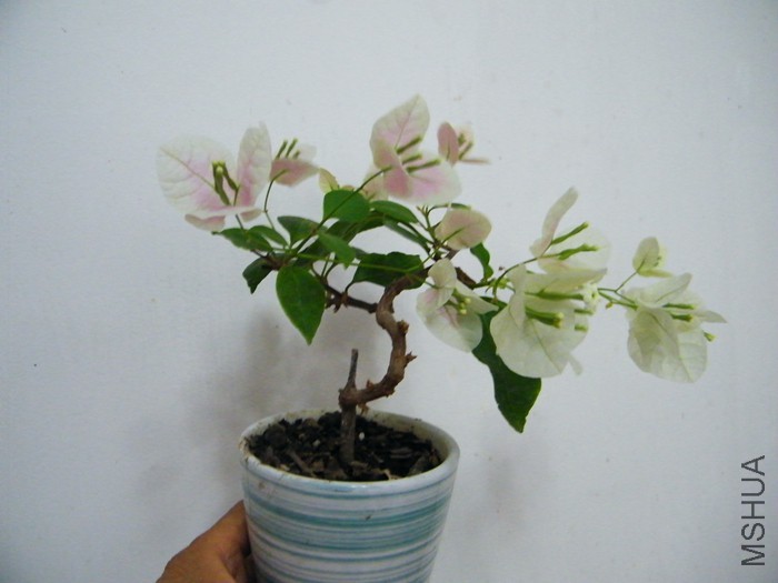 ΢��07 11 002.jpg