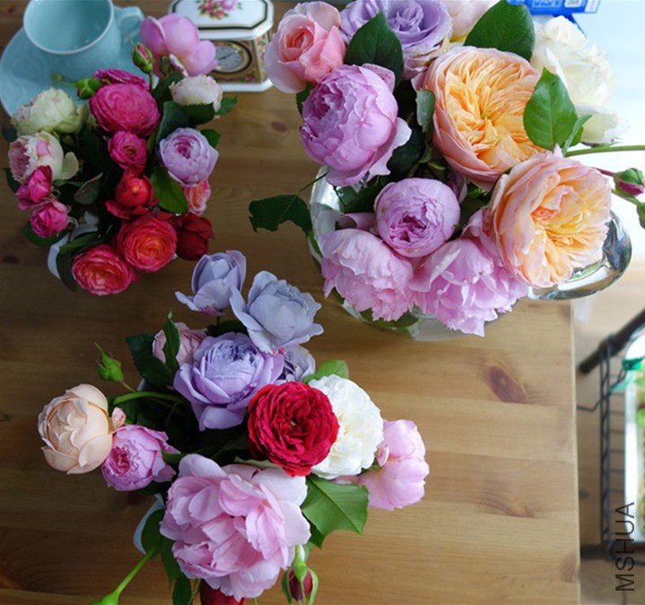 flower2015 395.jpg