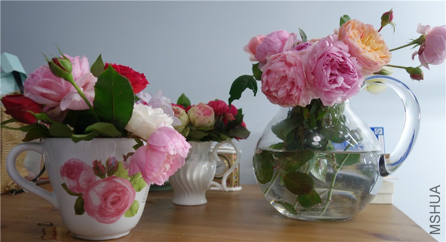 flower2015 404.jpg