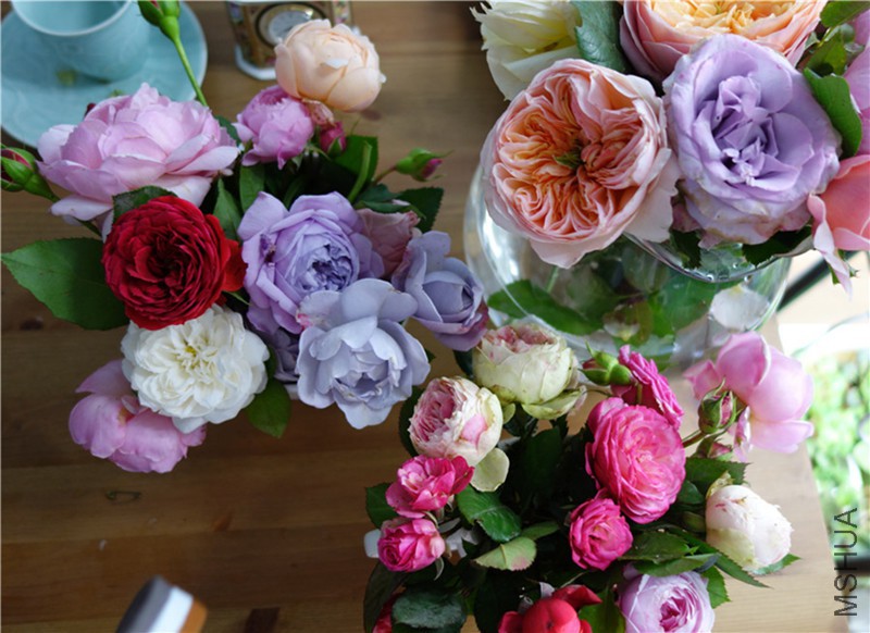flower2015 444.jpg