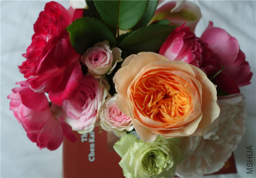 flower2015 1798.jpg