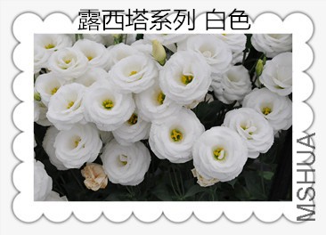 mmexport1432873865258_����.jpg