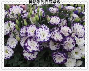 mmexport1432873982423_����.jpg