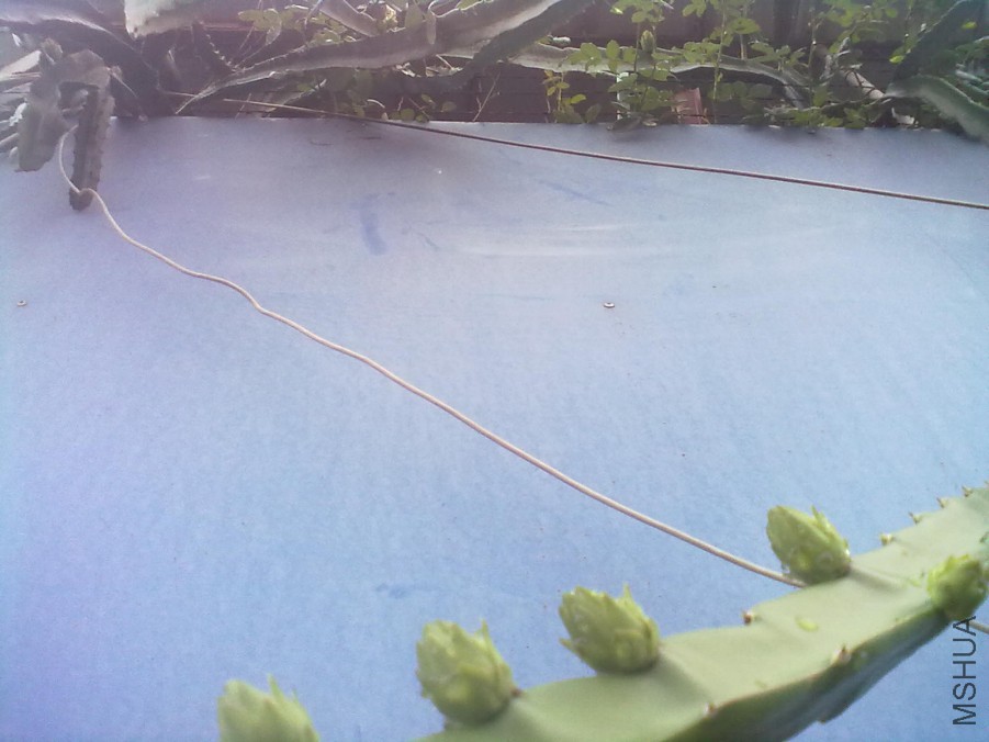 20140706485.jpg