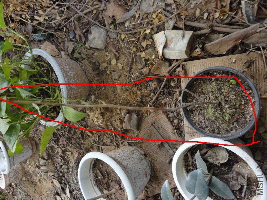 ԭ�����û���ĳ����Ŀ��Ҳ�ѹҵ�