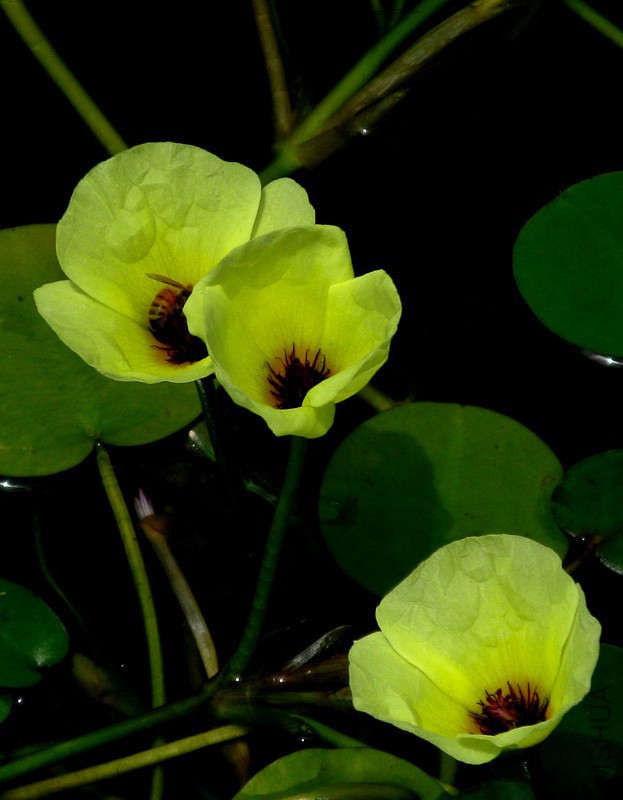 20120311_133536_1.jpg