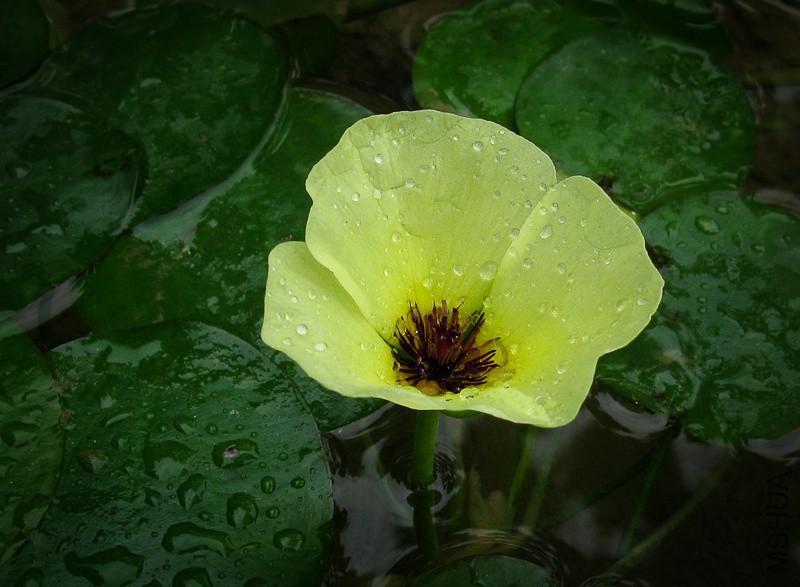 20120311_221631_1_����.jpg