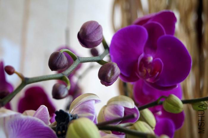 ������С ������С �����ع� DSC01760.JPG