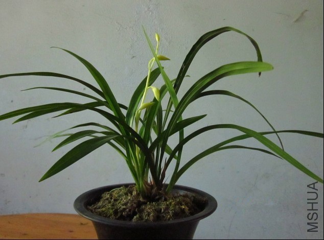 psb (5)_����.jpg