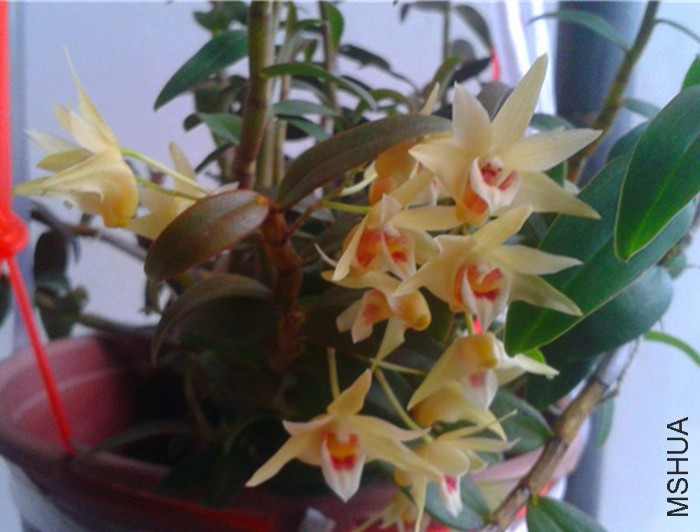 2015-07-04 17.29.58.jpg