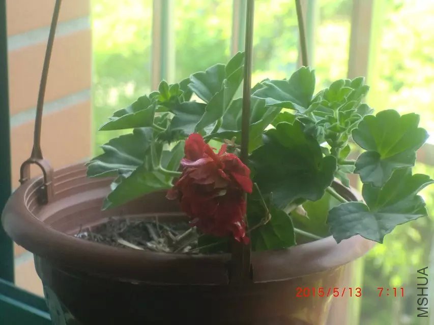 psb (9).jpg