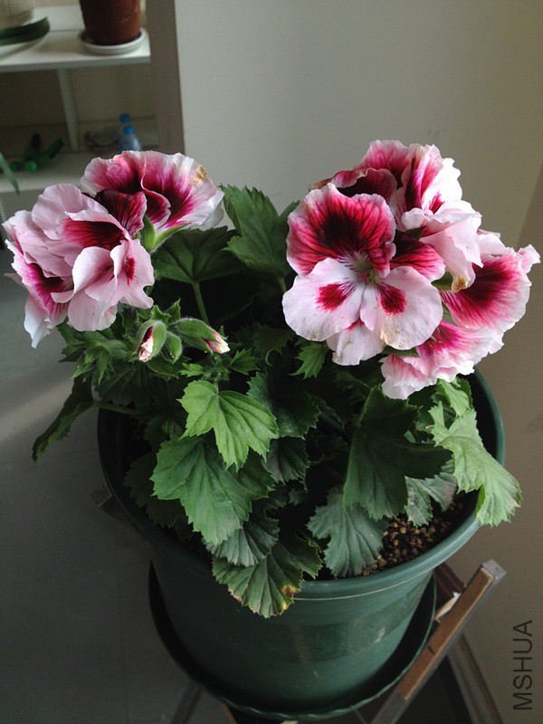 4-22 002_����.jpg