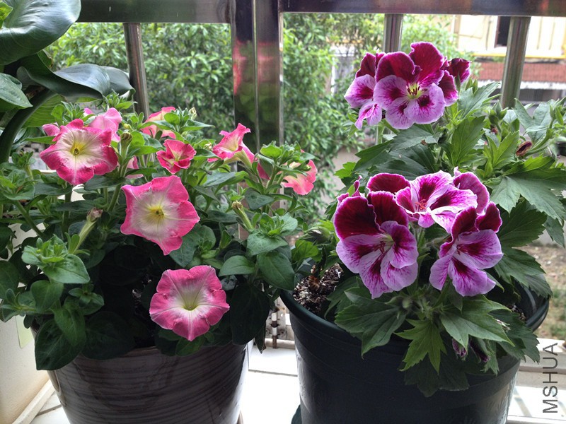 hh 003_����.jpg