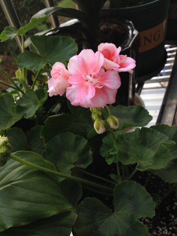 0602 004_����.jpg