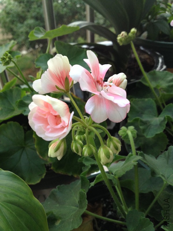 0602 006_����.jpg