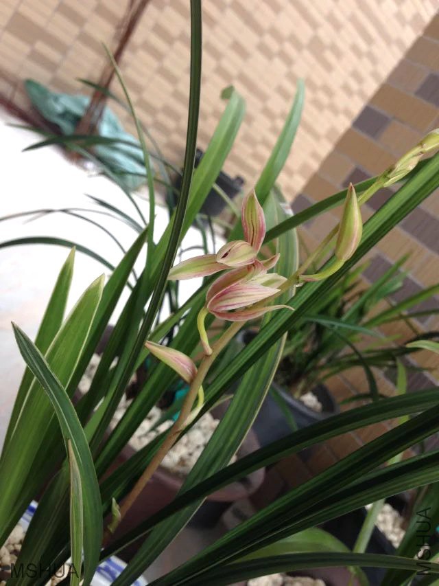 ��ת 091819pdtx3ye1xef4wbte.jpg