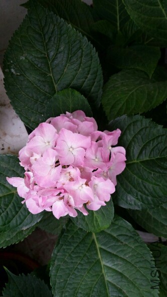 2015-08-18 09.47.29.jpg