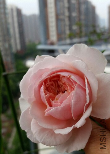 2015-08-18 09.52.31.jpg