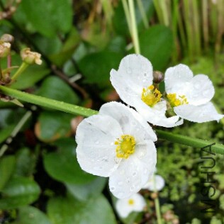 2015-08-18 10.23.21.jpg