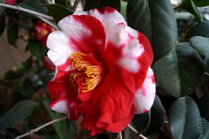 ������С �����ع� DSC00196.JPG