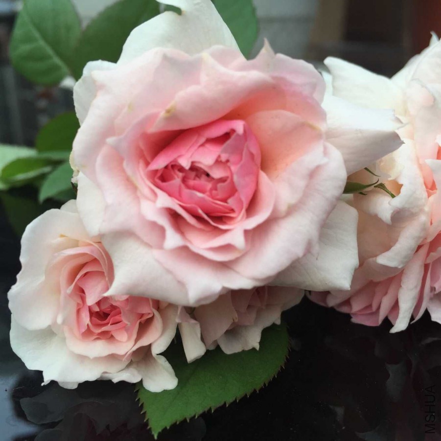 �������