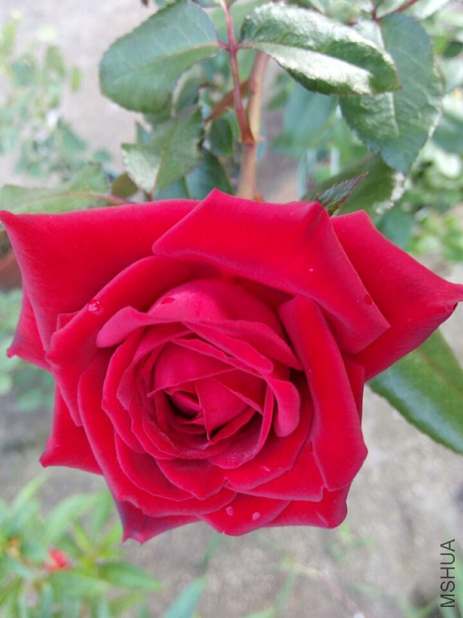 QQͼƬ20150715075103.jpg