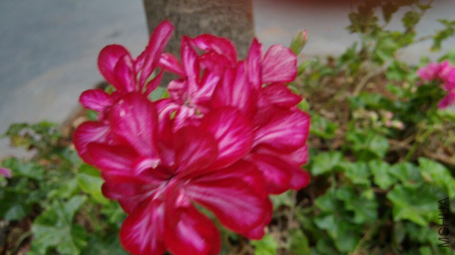 QQͼƬ20150818110930.jpg
