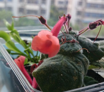 QQ��ͼ20150818111512.jpg