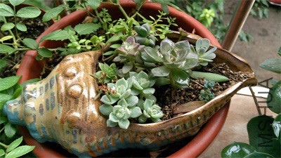 IMG_20150723_142554 - ����.jpg