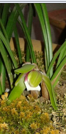 ���ݱ��˵Ĵ���