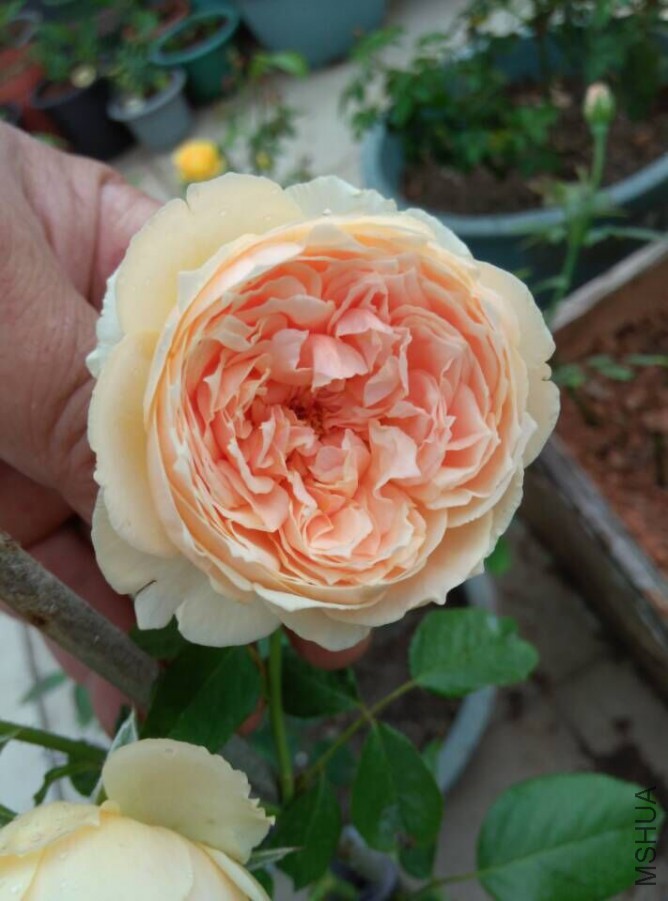 20150818120545.jpg