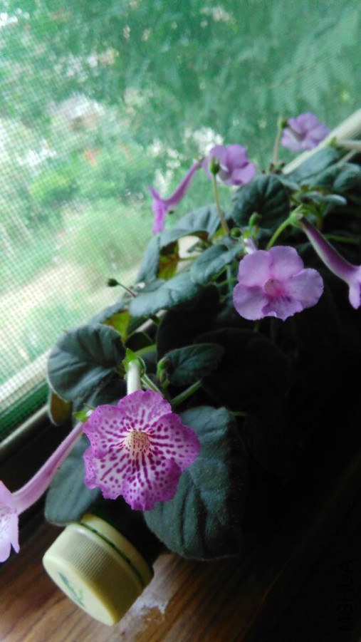 QQͼƬ20150818125123.jpg
