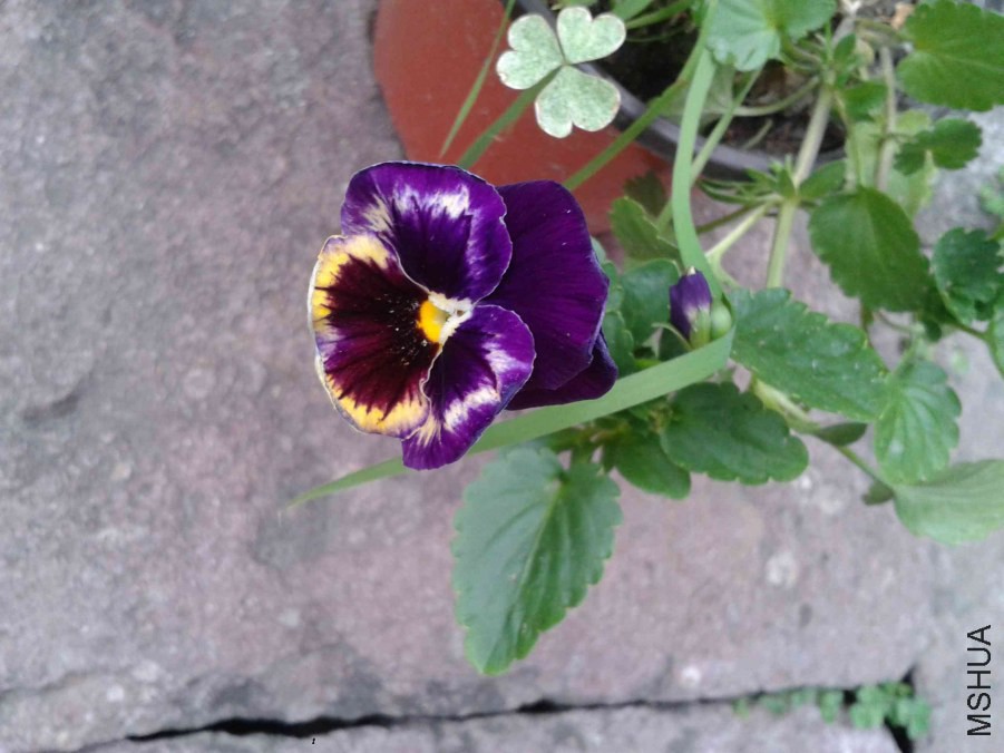 2014-07-12 17.32.31.jpg