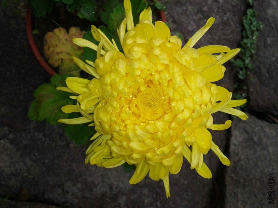 2014-11-17 07.41.16.jpg